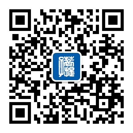 菩提子定明