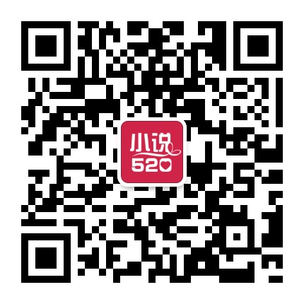 小说520