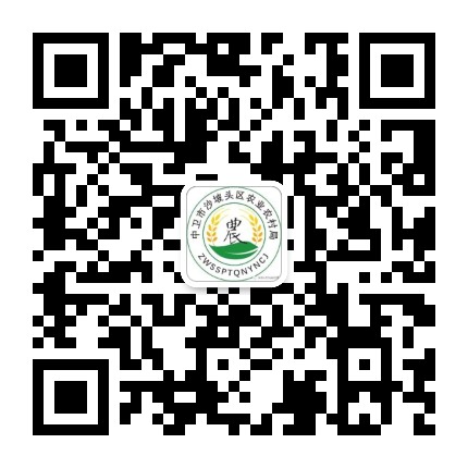 沙坡头区农业农村局公众号二维码