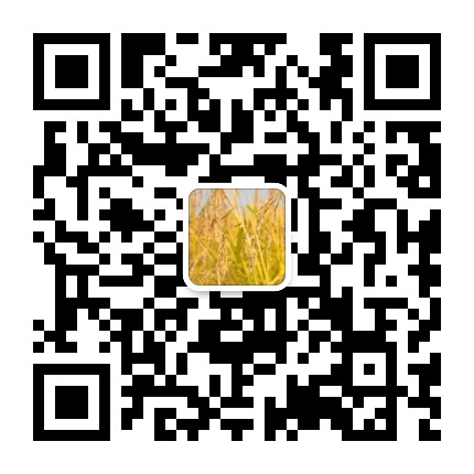 粮食价格信息