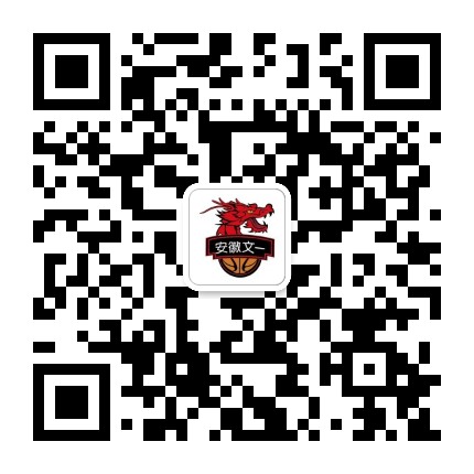 安徽文一篮球俱乐部