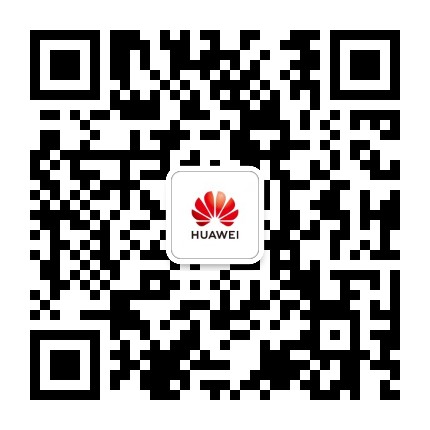 华为中国政企业务