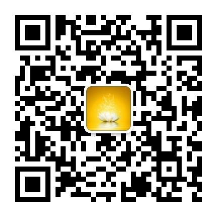 小飞虫奇迹分享