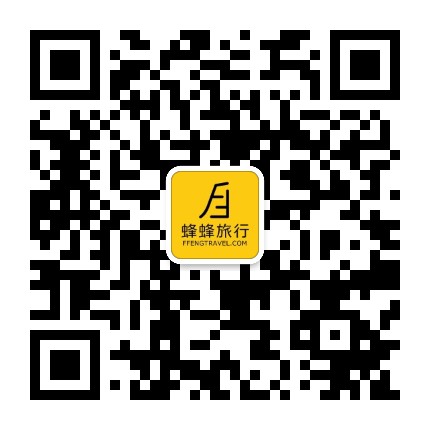 蜂蜂旅行