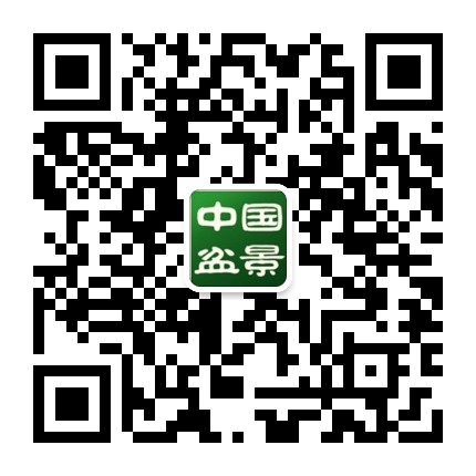 中国盆景