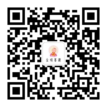 尘埃菩提