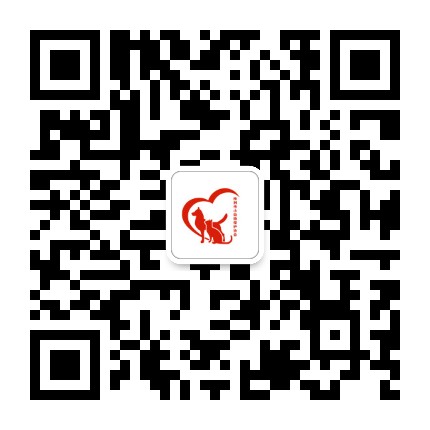 株洲市小动物保护协会