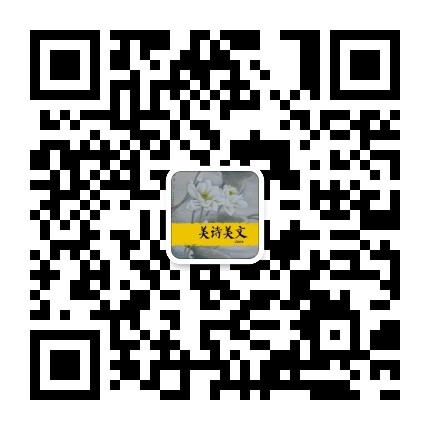 魂说历史
