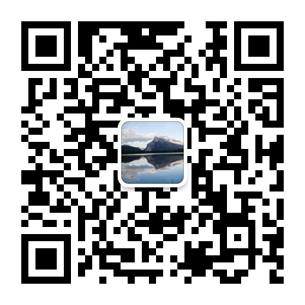 蒲公英的刺猬球