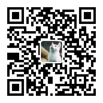 传统视觉文化研究