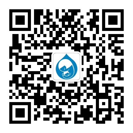 好喂母指精英联盟