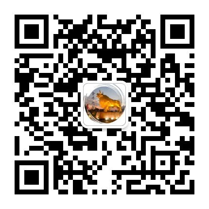 金牛之声公众号二维码
