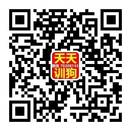 天天训狗