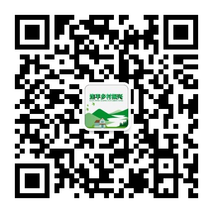 连平乡村振兴
