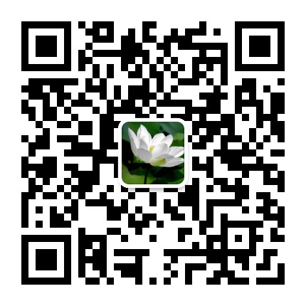 释迦妙法