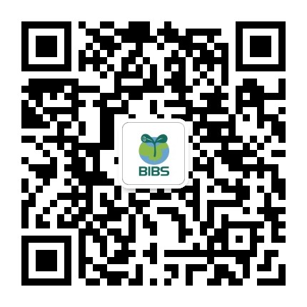 BIBS青苗国际双语学校