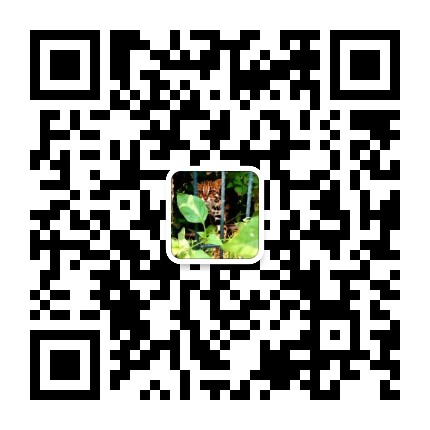 野生青年陈老师的咸盐和碎雨