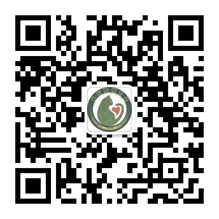 北師珠流浪貓關(guān)愛俱樂部