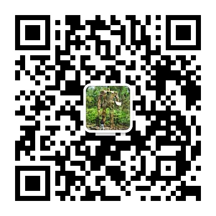 自然语言处理房室瓣