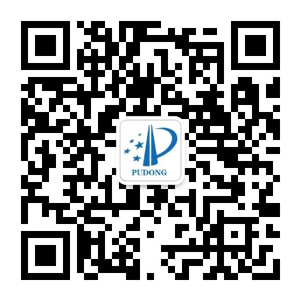 浦东知识产权