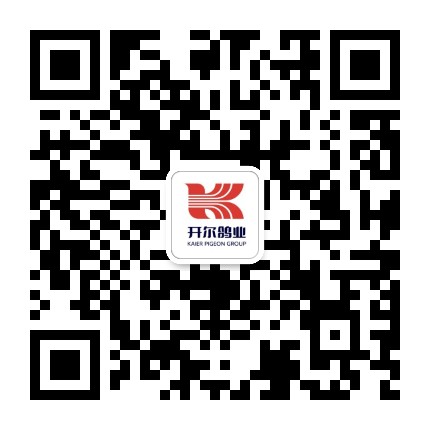 开尔鸽业