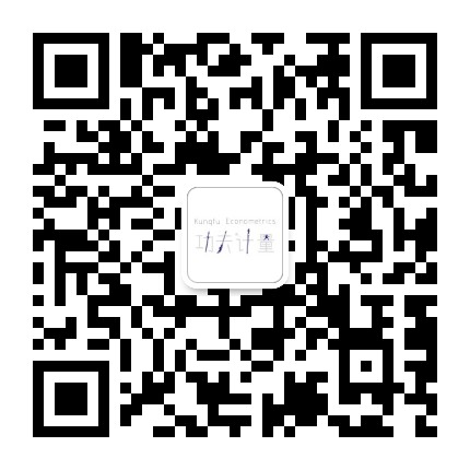 功夫计量经济学