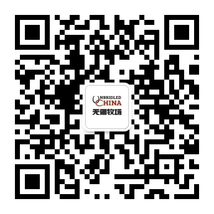 无疆牧场马术俱乐部