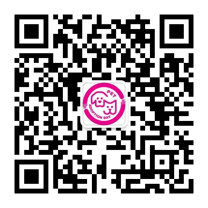伴侣动物领养日
