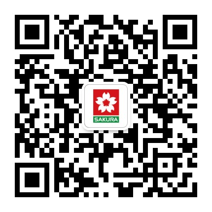 SAKURA樱花