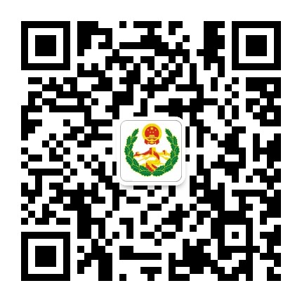 恰卜恰镇综治办公众号二维码