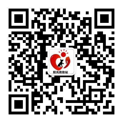 乌市阳光流浪狗救助站