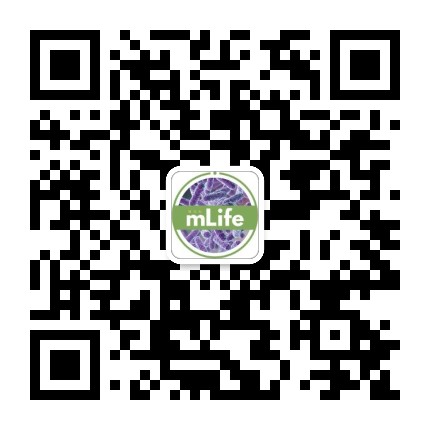 mLife Journal