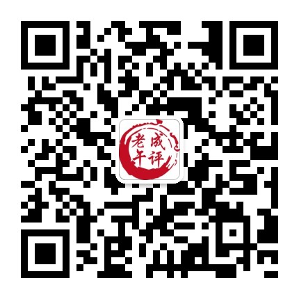 老成午评