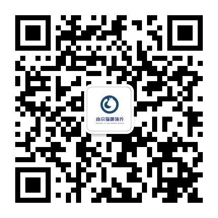 南京猫咪领养Maopuda