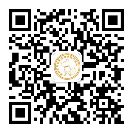 桂林Baby有家流浪动物公益站