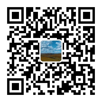 旅行中的程序员