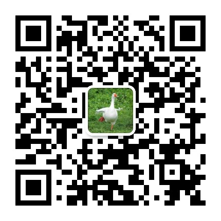 想把全世界种满香菜