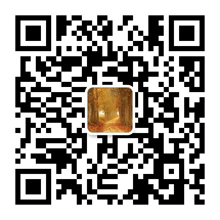 碼農(nóng)桃花源