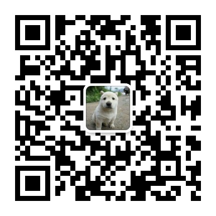 神光的编程秘籍