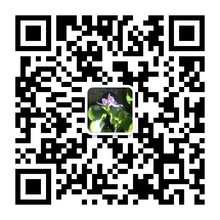 萨满小屋禅修小院