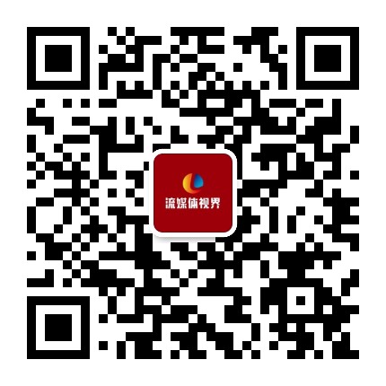 流媒体视界