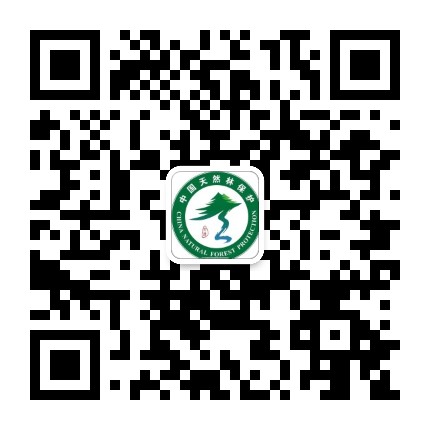 江达绿水青山公众号二维码
