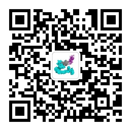 蛋白质降解技术