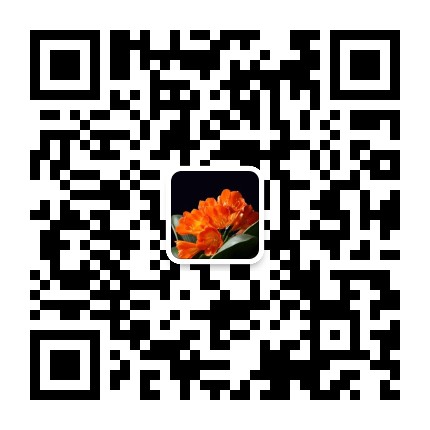 梅香摄影工作室