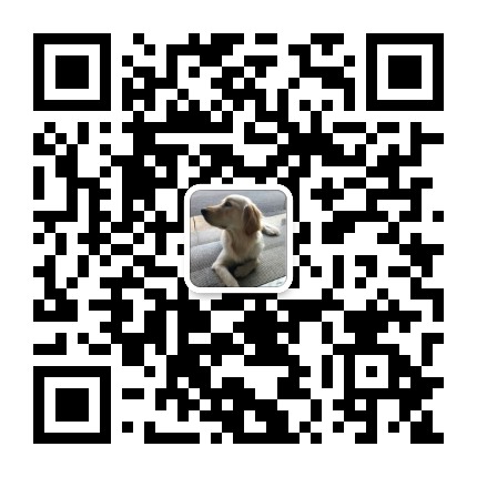 猫猫狗狗萌宠物