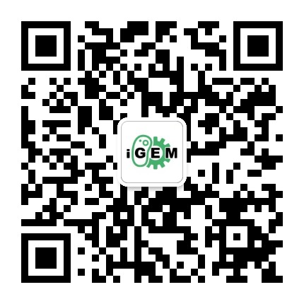 iGEM Foundation