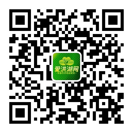 爱洪湖网