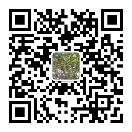 子曰的史料与史学