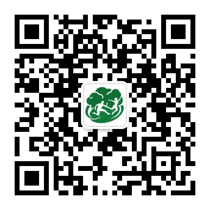 广州飞越丛林探险乐园