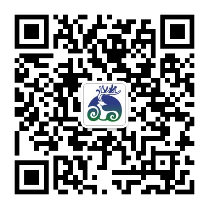 荒人巫思手抄